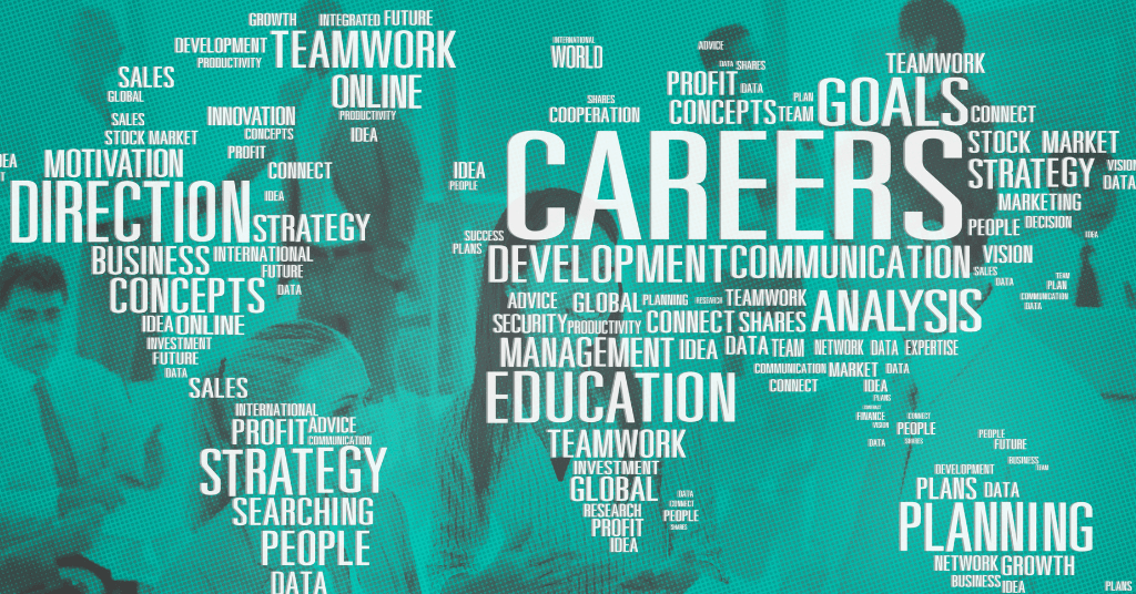 bba career options